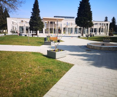 IMG_20210326_125007 (1)