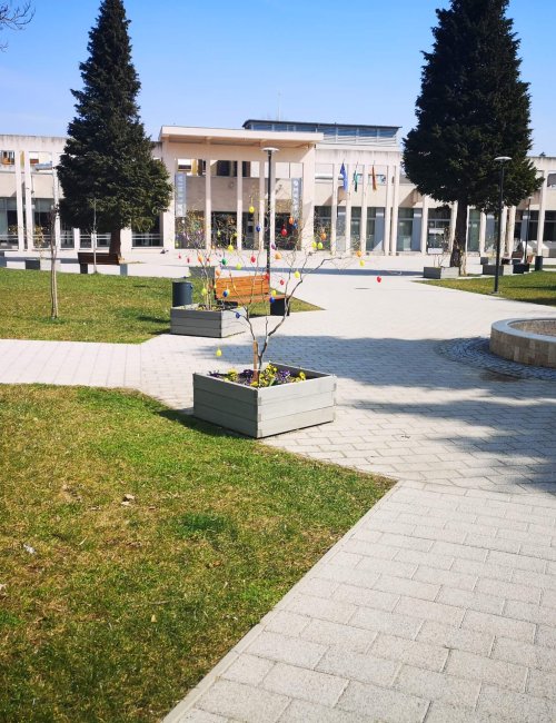 IMG_20210326_125007 (1)